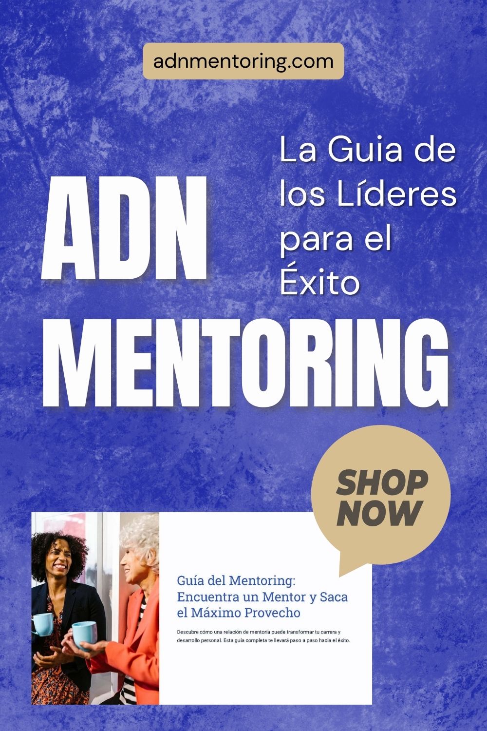 Acelerador de Éxito: